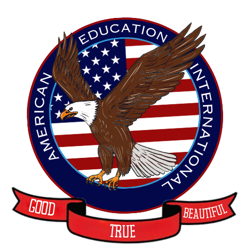 American Education International logo